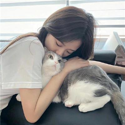 神探默多克第三季