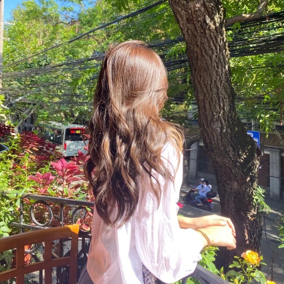 七载霜华：我于风雪中绽放